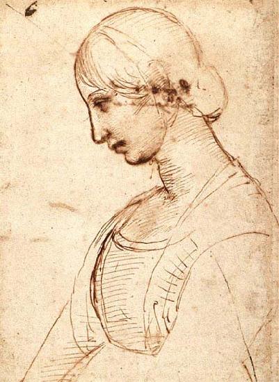 Waist-length Figure of a Young Woman, RAFFAELLO Sanzio